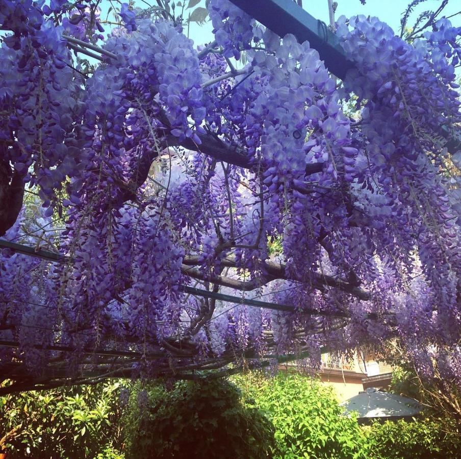 Отель Il Giardino Nel Parco R&B Болонья Экстерьер фото