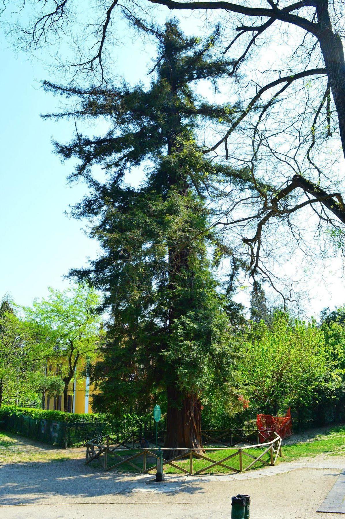 Отель Il Giardino Nel Parco R&B Болонья Экстерьер фото